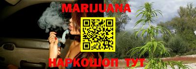 прущие крисы Мирный
