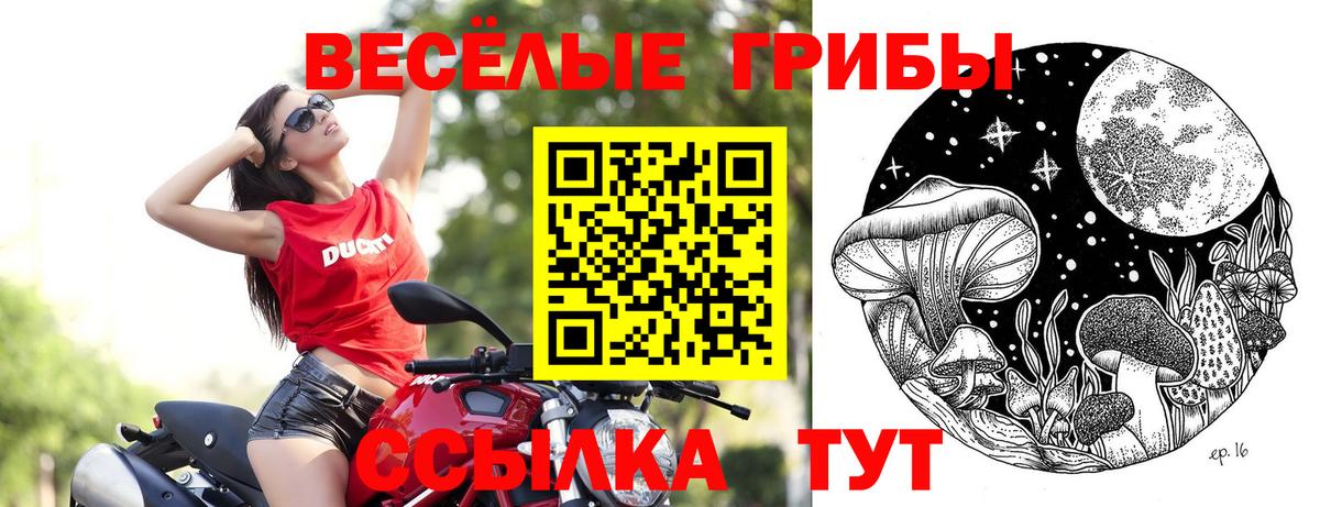 Камень-на-Оби  Галлюциногенные грибы Magic Shrooms  Псилоцибиновые грибы Psilocybine cubensis  Вход с VPN 