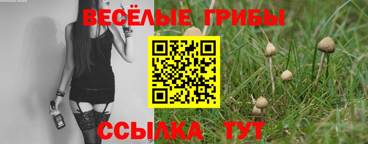 Галлюциногенные грибы MAGIC MUSHROOMS Камень-на-Оби